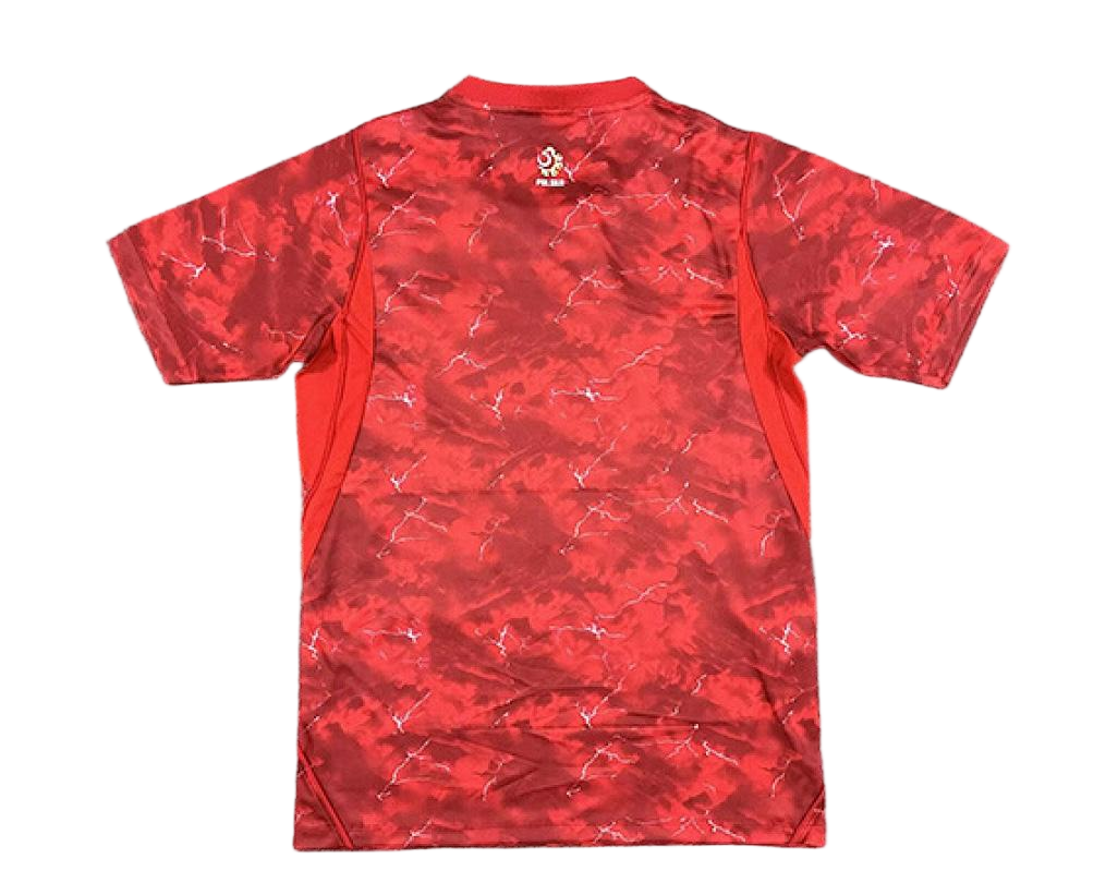 Poland Soccer Jersey Away Custom Shirt World Cup 2026 - sinoshirt