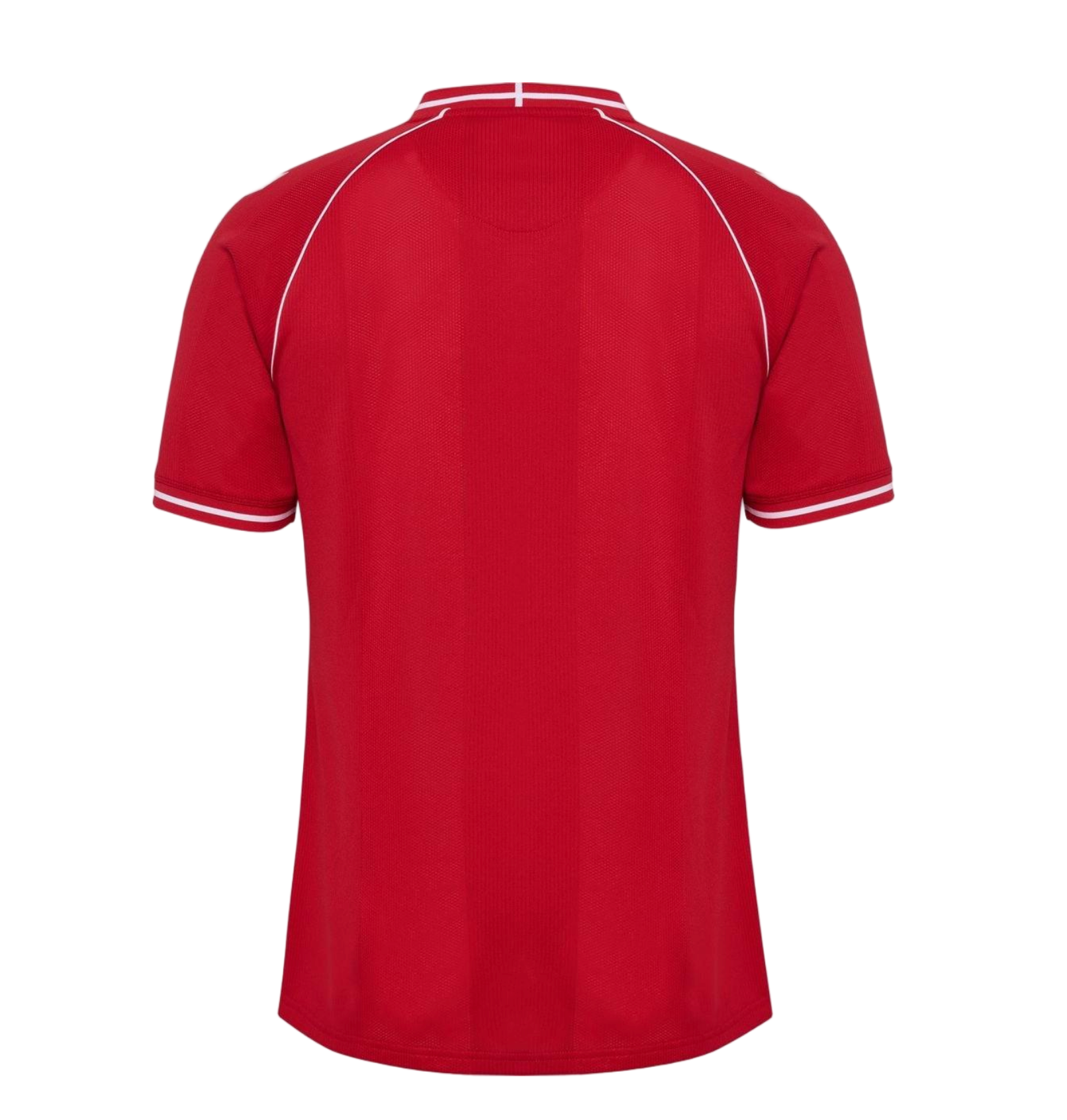 Denmark Football Jersey Home Custom Shirt World Cup 2026 - sinoshirt
