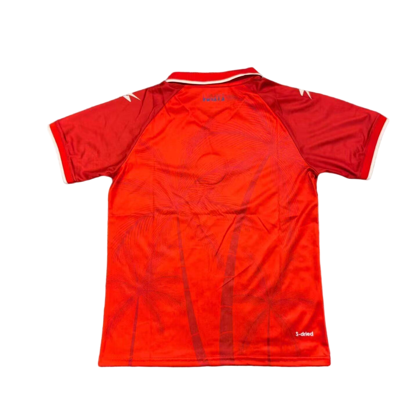 Haiti Soccer Jersey World Cup Third Away Custom Shirt World Cup 2026 - sinoshirt