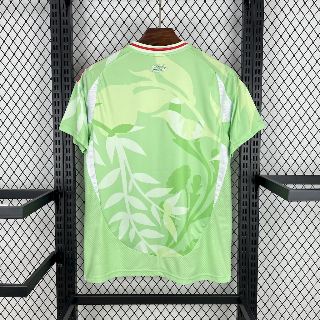 Italy Soccer Jersey Away Custom Shirt 2025 - sinoshirt