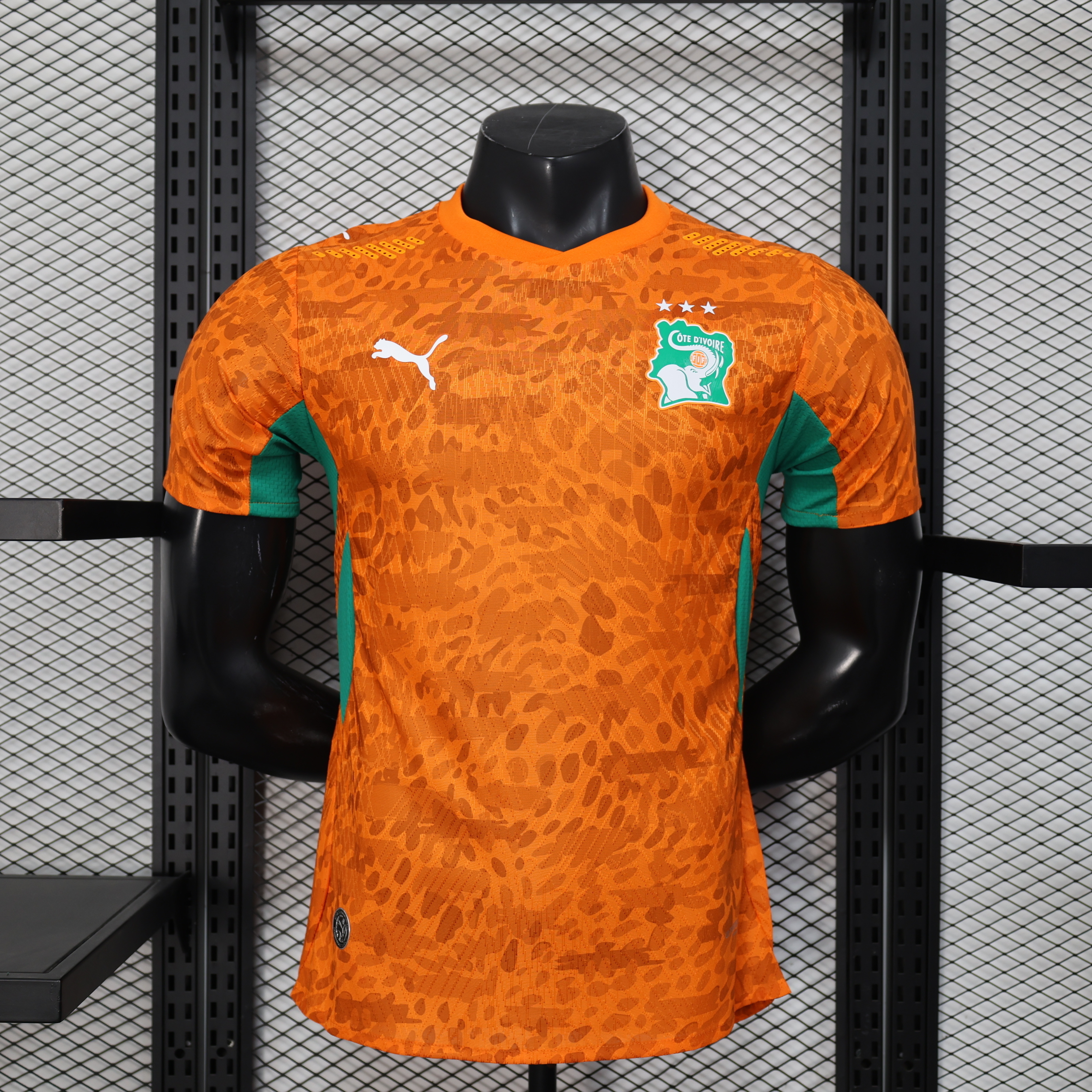 Ivory Coast Authentic Soccer Jersey Home Shirt 2026 World Cup - sinoshirt