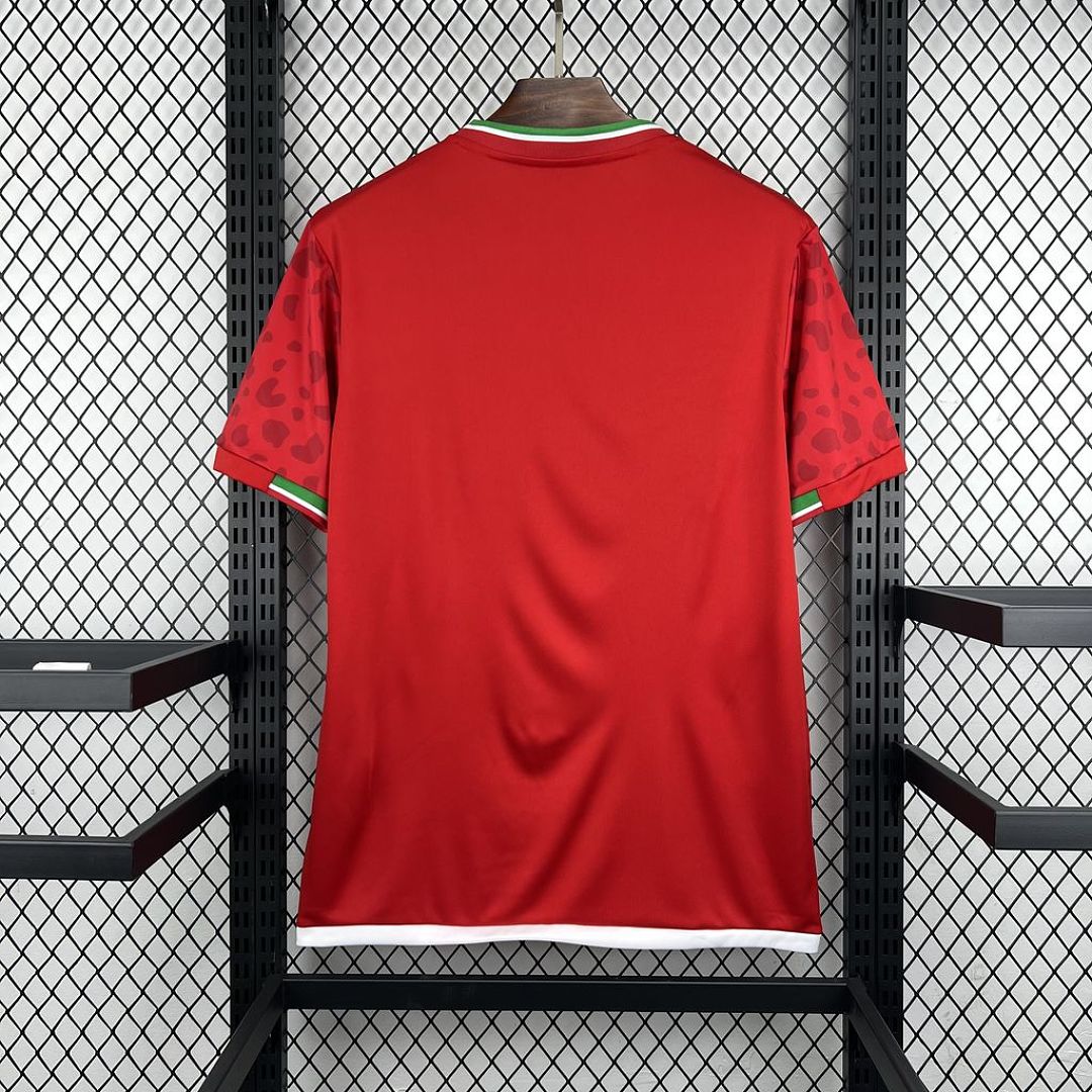 Iran Football Jersey Away Custom Shirt World Cup 2026 - sinoshirt